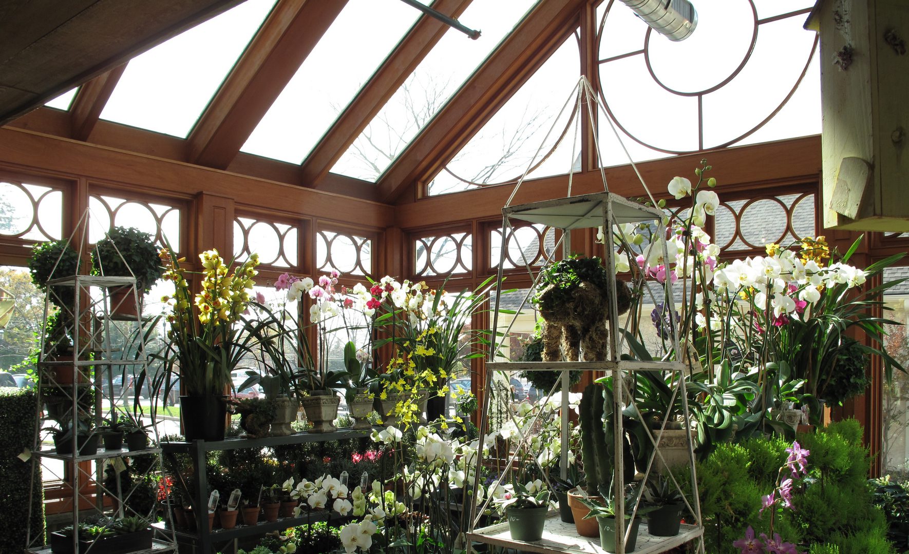 A room filled with lots of plants and flowers.