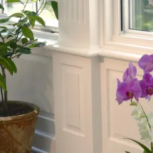 A potted plant sitting in front of a window.