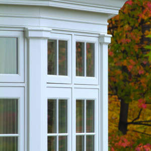 A white window frame with autumn leaves in the background.