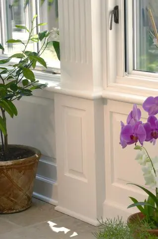 A potted plant sitting in front of a window.