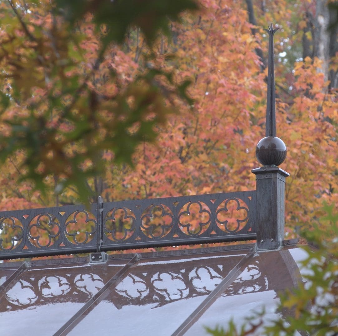 A metal fence with a decorative top and some trees
