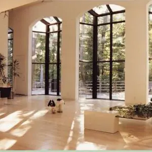 A room with two large windows and a dog in the middle of it.
